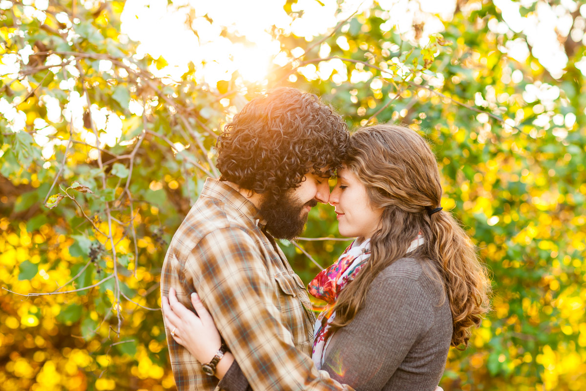 Engaged - Melissa and Matt